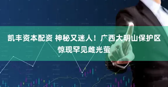 凯丰资本配资 神秘又迷人！广西大明山保护区惊现罕见雌光萤
