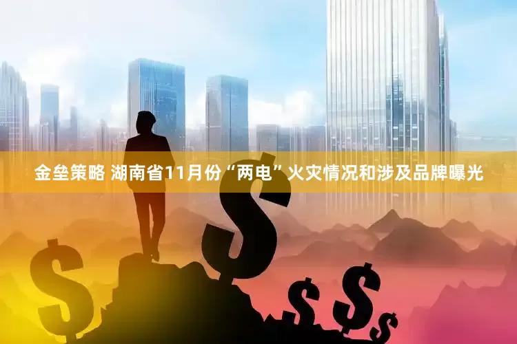 金垒策略 湖南省11月份“两电”火灾情况和涉及品牌曝光